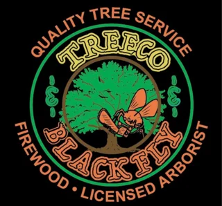 Treeco Black Fly logo featuring a green tree and a cartoon fly holding a chainsaw, surrounded by tree service lettering.
